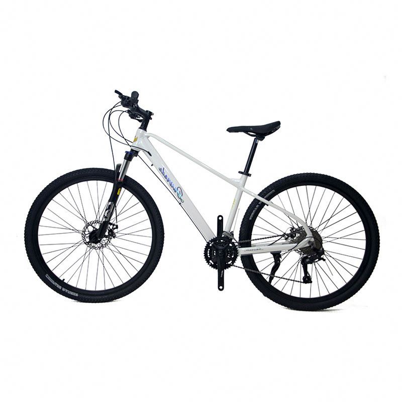 29 inch Aluminum Alloy Mountai - đánh giá và giá Mountain Biking Usa