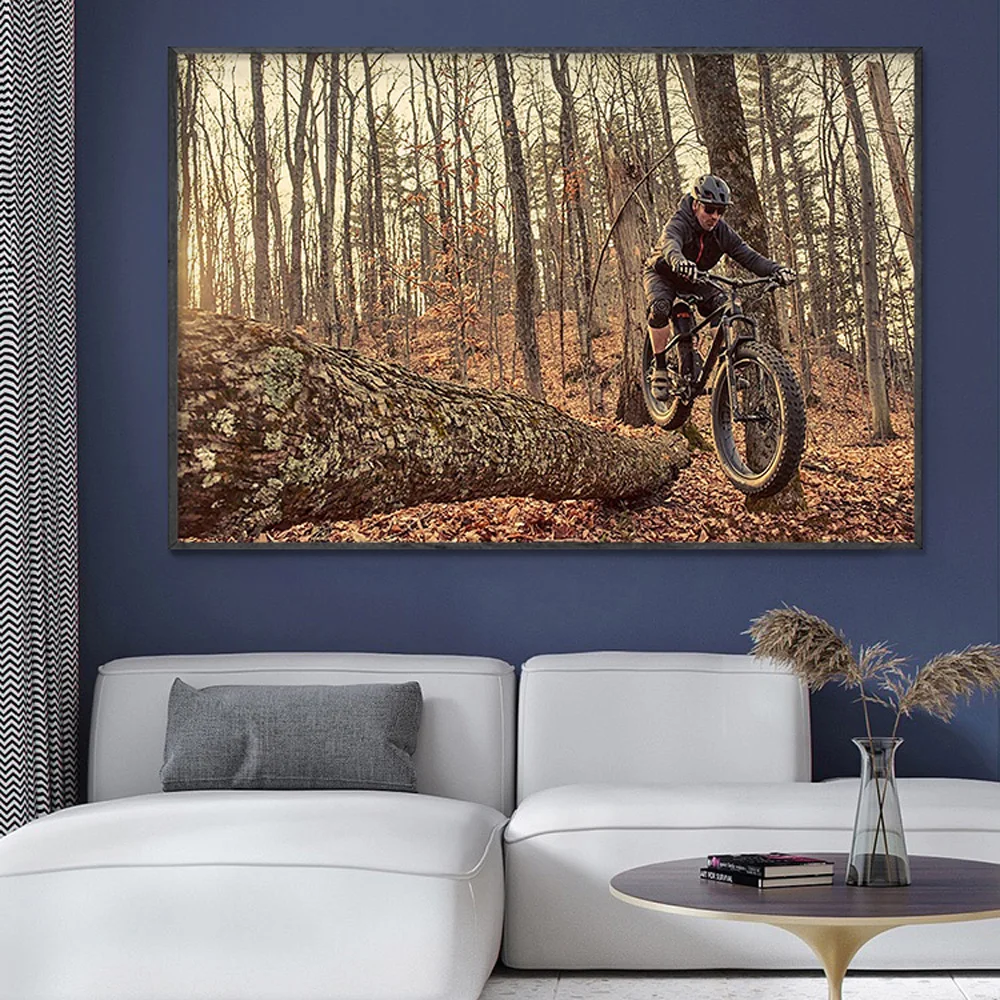 SP082 Silk Cloth Wall Poster M - đánh giá và giá Mountain Biking Movies