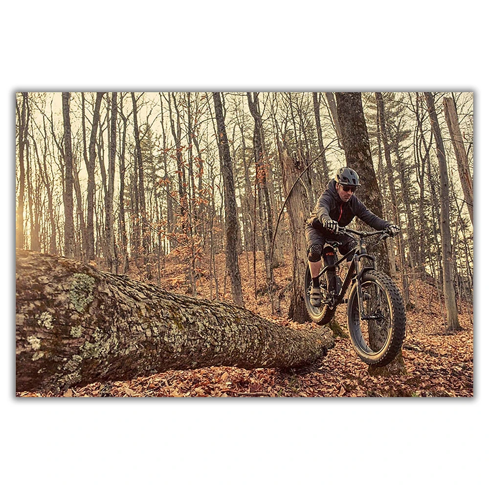 SP082 Silk Cloth Wall Poster M - đánh giá và giá Mountain Biking Movies