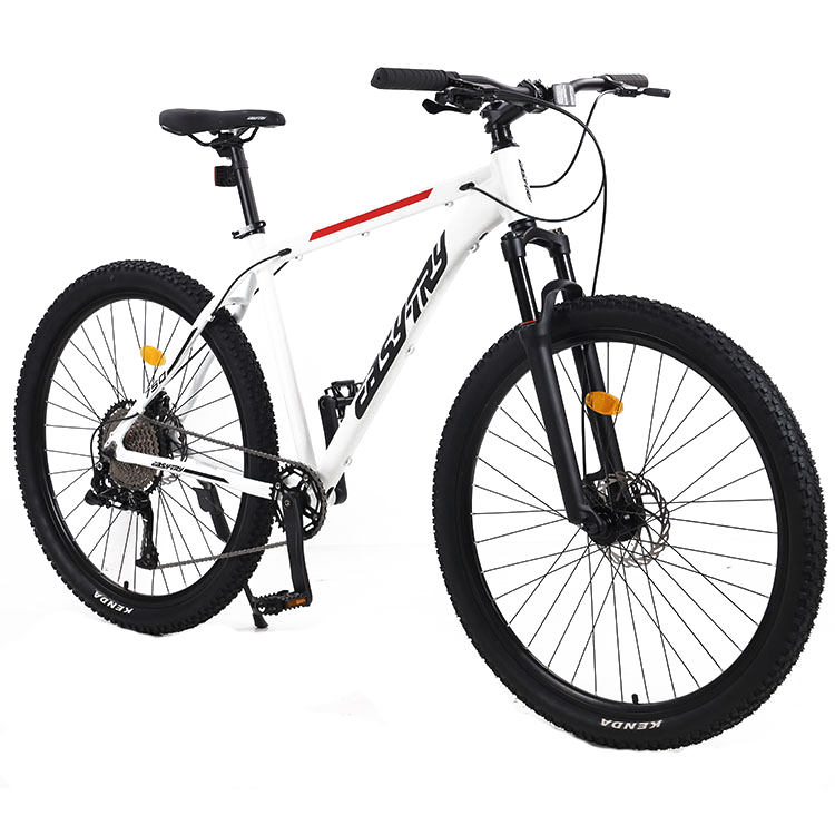 Wholesale 21 Speed Bicicletas  - đánh giá và giá Mountain Biking Usa
