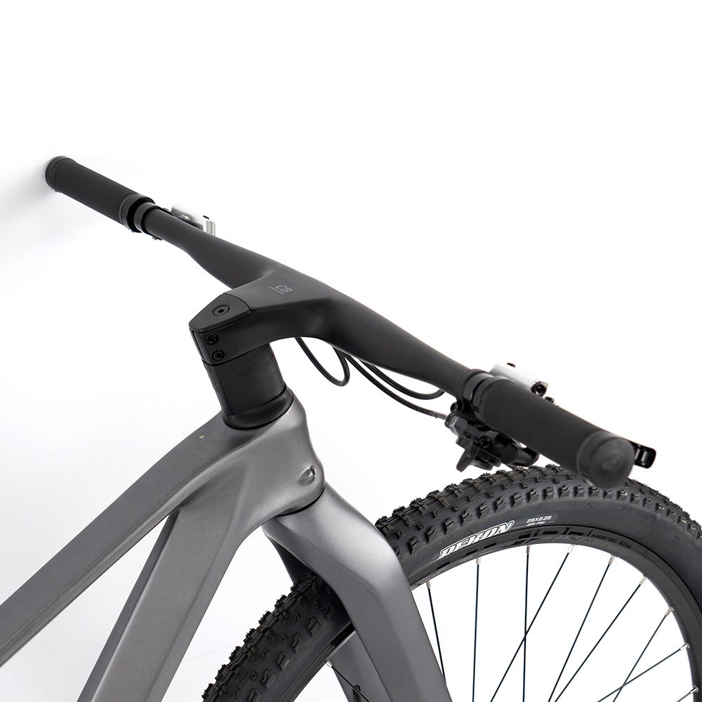 Premium Carbon Mountain Bike w - đánh giá và giá Mountain Biking Usa