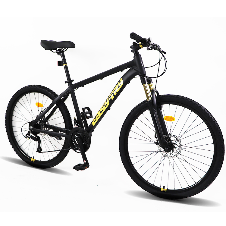 Fast Delivery Bikecmtb Bike OE - đánh giá và giá Mountain Biking Usa