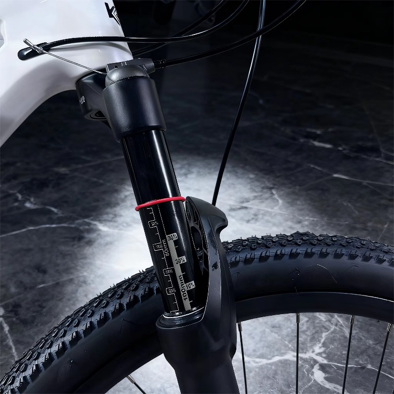 29er Carbon Fiber Mountain Bik - đánh giá và giá Mountain Biking Usa
